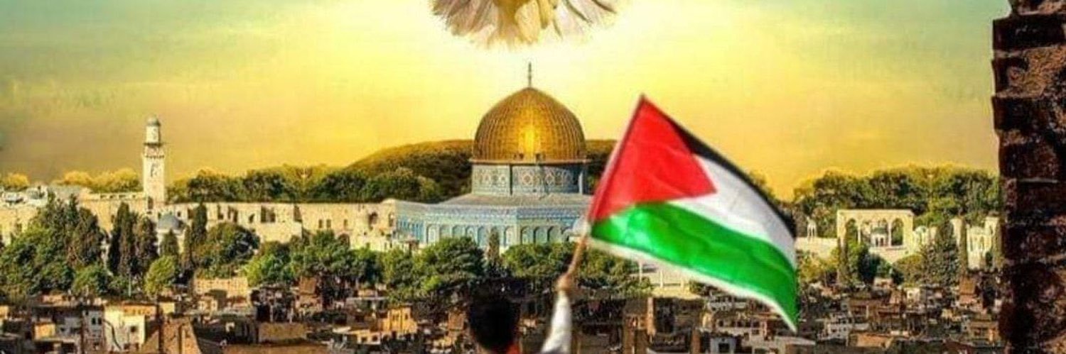 🇵🇸Mostafabay🇵🇸's banner