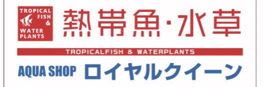アクアショップロイヤルクイーン's banner