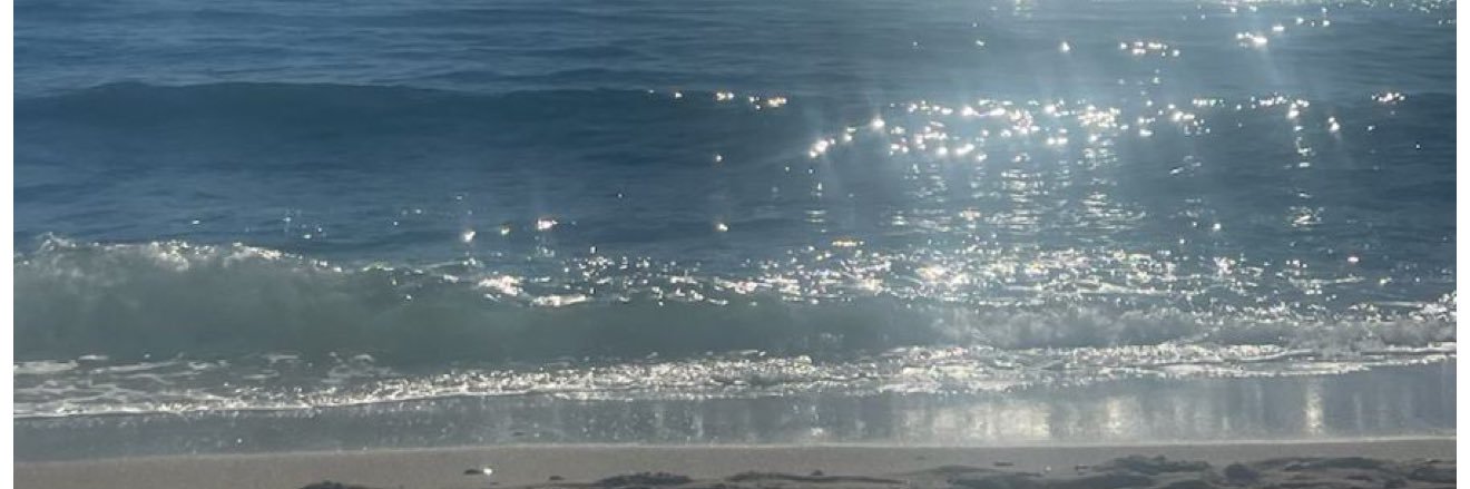 B Beena✨'s banner