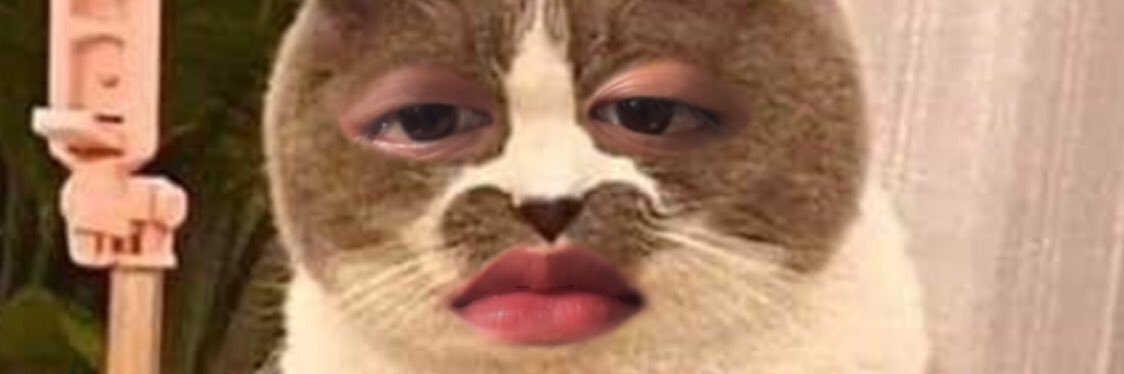 Xtnkaaa's banner