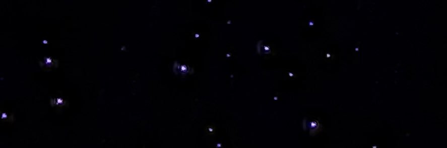 Montre Jackson |’27's banner