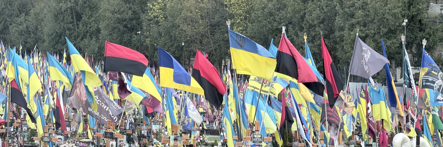 🇺🇦戰鬥貓東哥🇩🇪's banner