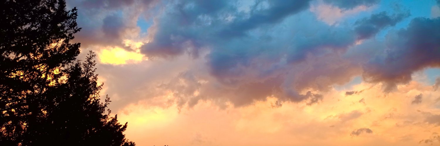 Numidia silin's banner