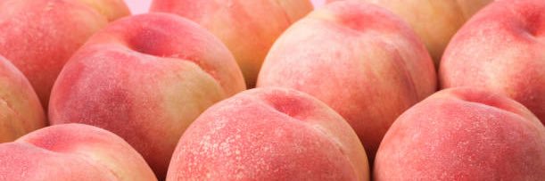 Butt Euphoria (all you can eat butt-ffet 😋)'s banner