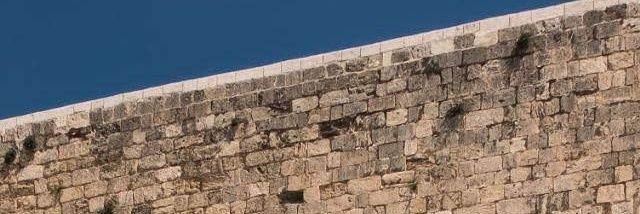 🇮🇱 L D 🦁's banner