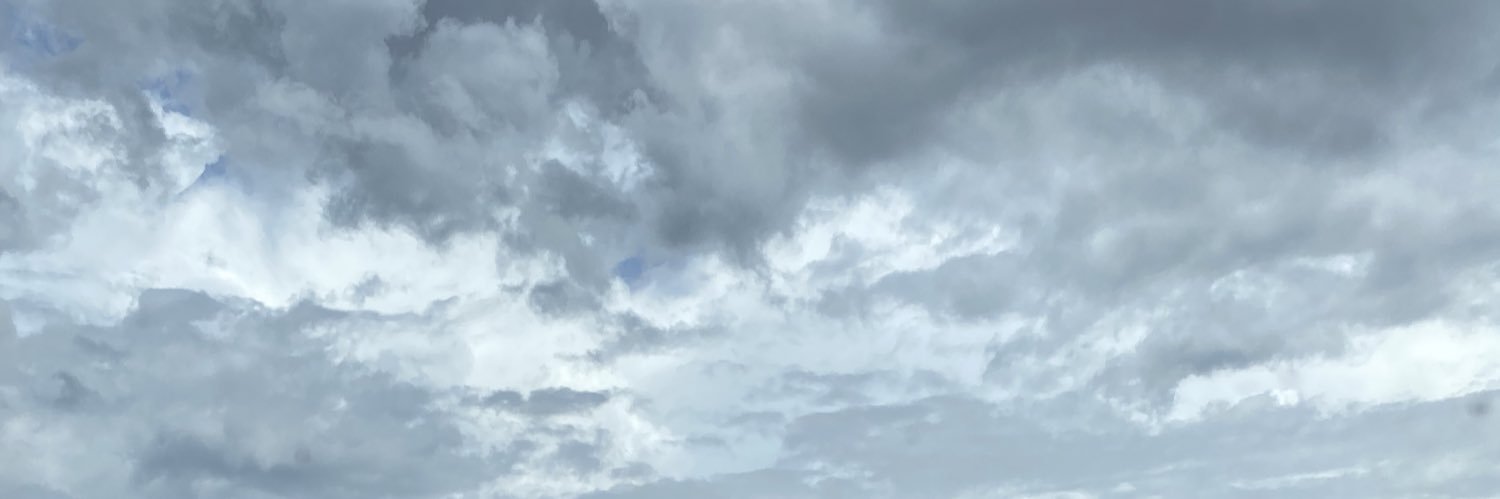kokosagi's banner