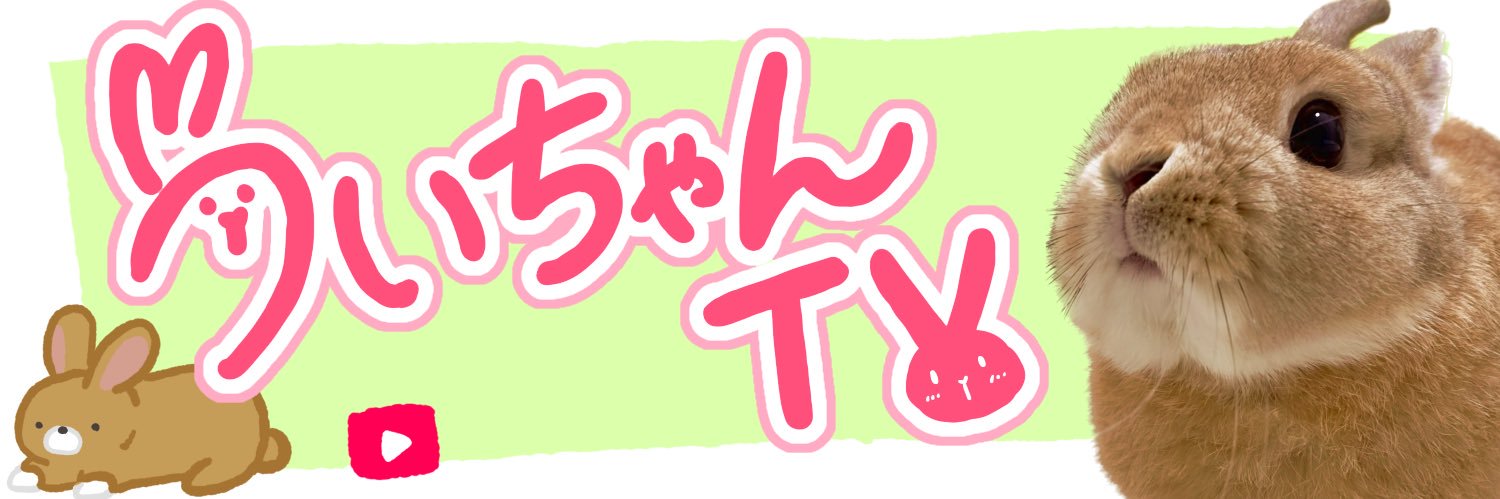 うさぎのうい🐰's banner