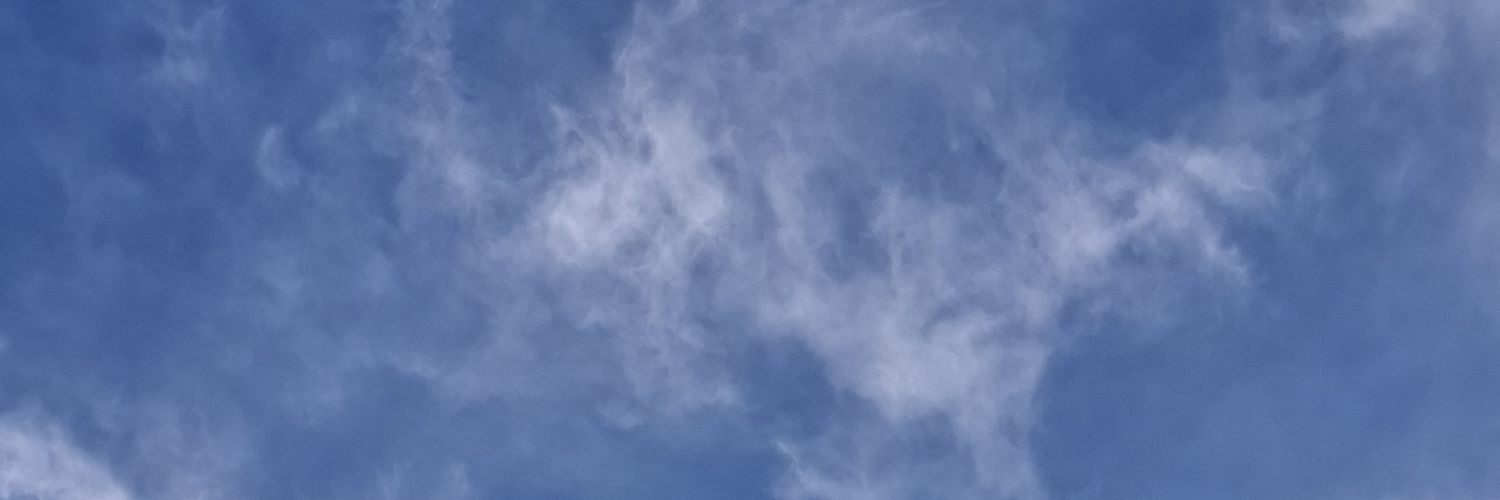 𝙥𝙪𝙩 (ia - busy)'s banner