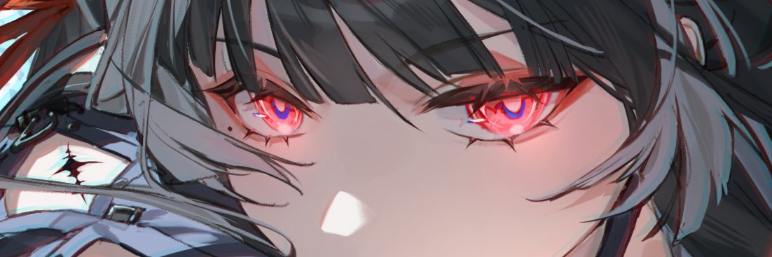 toriumu's banner