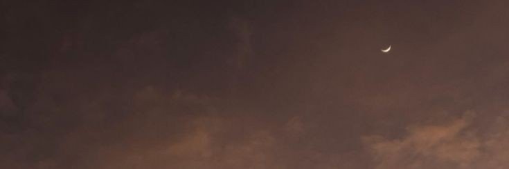t''s banner