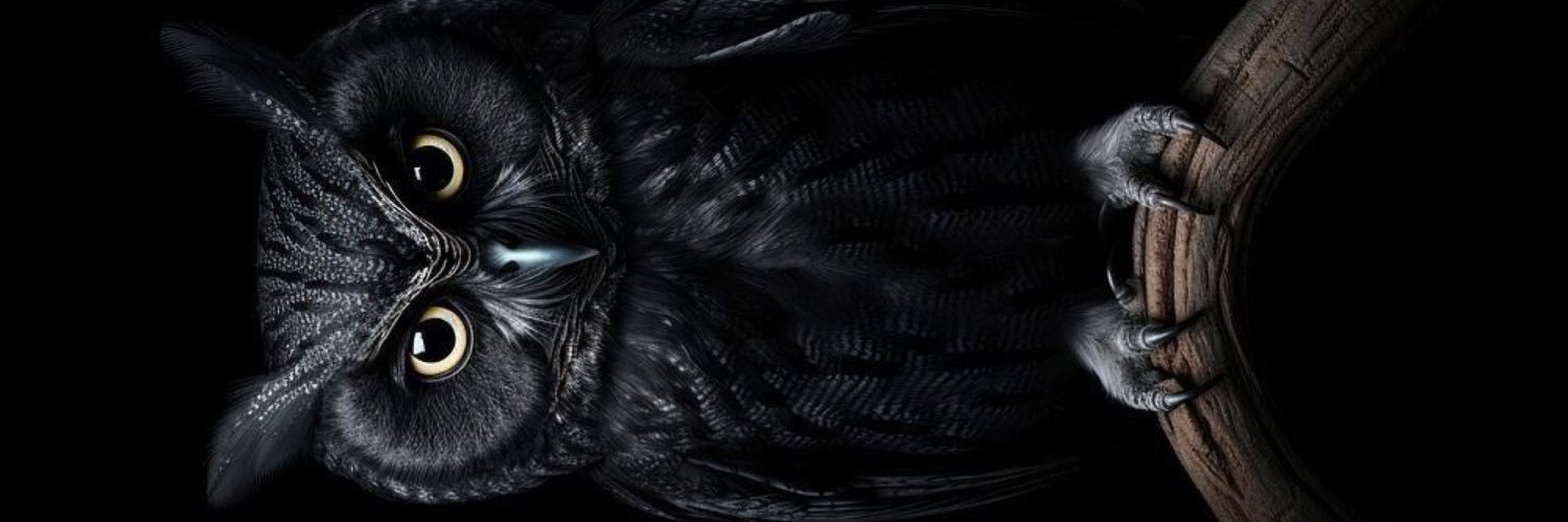 🦉's banner