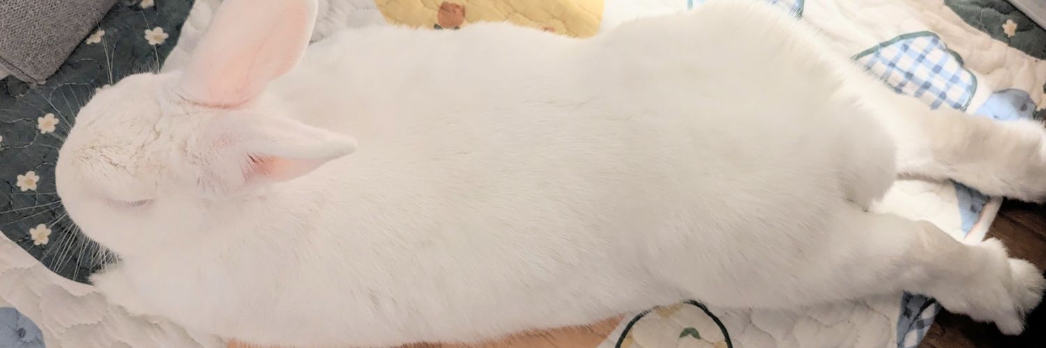 キョーちゃん　主: はせこ's banner