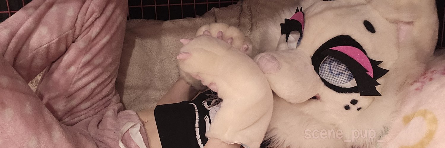 🍪puppy_bites🐾's banner