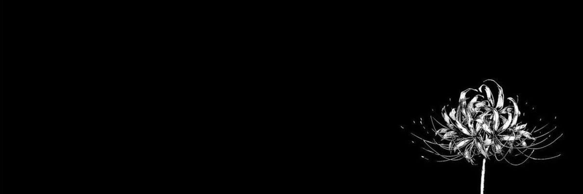 Tuunii's banner
