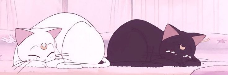 Stella's banner
