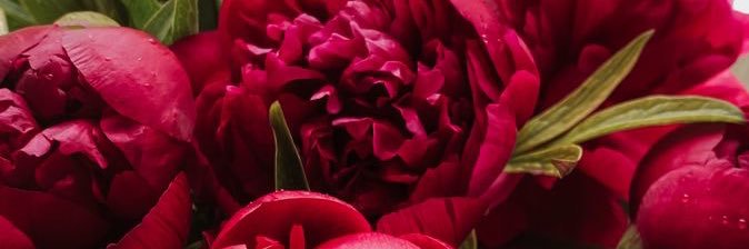 гірка як полинь🥀's banner