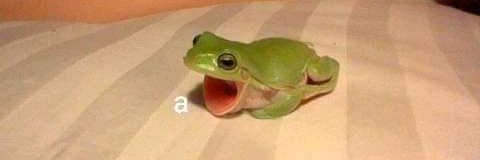 SIRI 🐸| OWOZU's banner