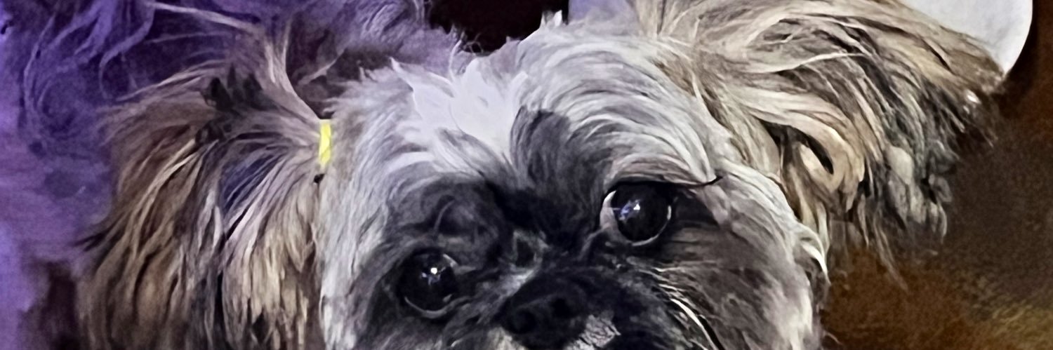 Pᴀᴛʀɪᴄɪᴏ ⚓🇵🇭's banner