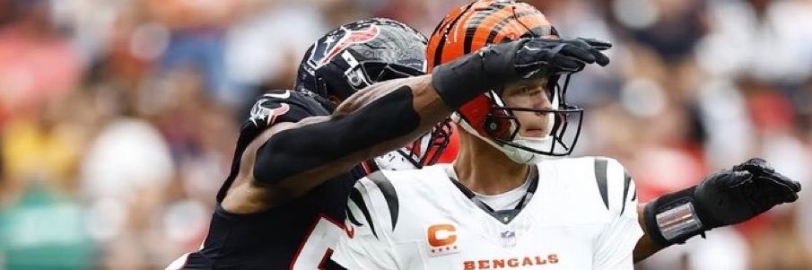 Bengals Ben 🐅's banner