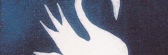 phoenix's banner