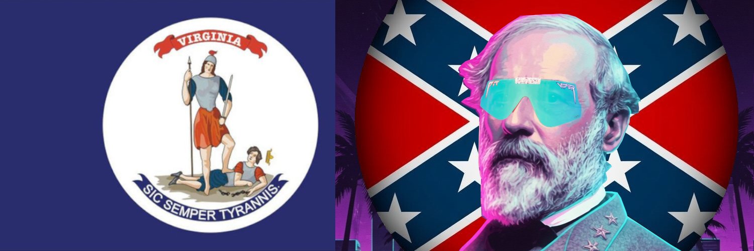 Southern Zoomer's banner