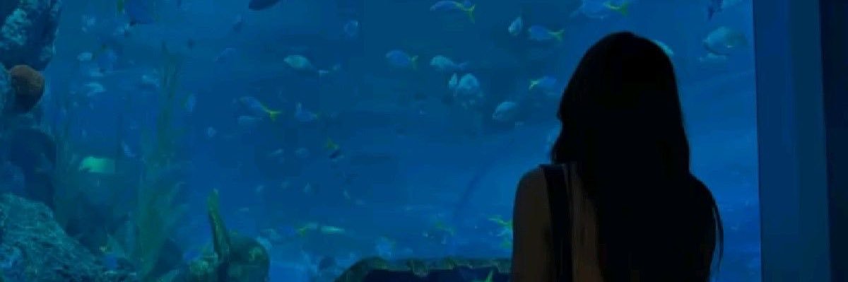 𝒎𝒊𝒏𝒆's banner
