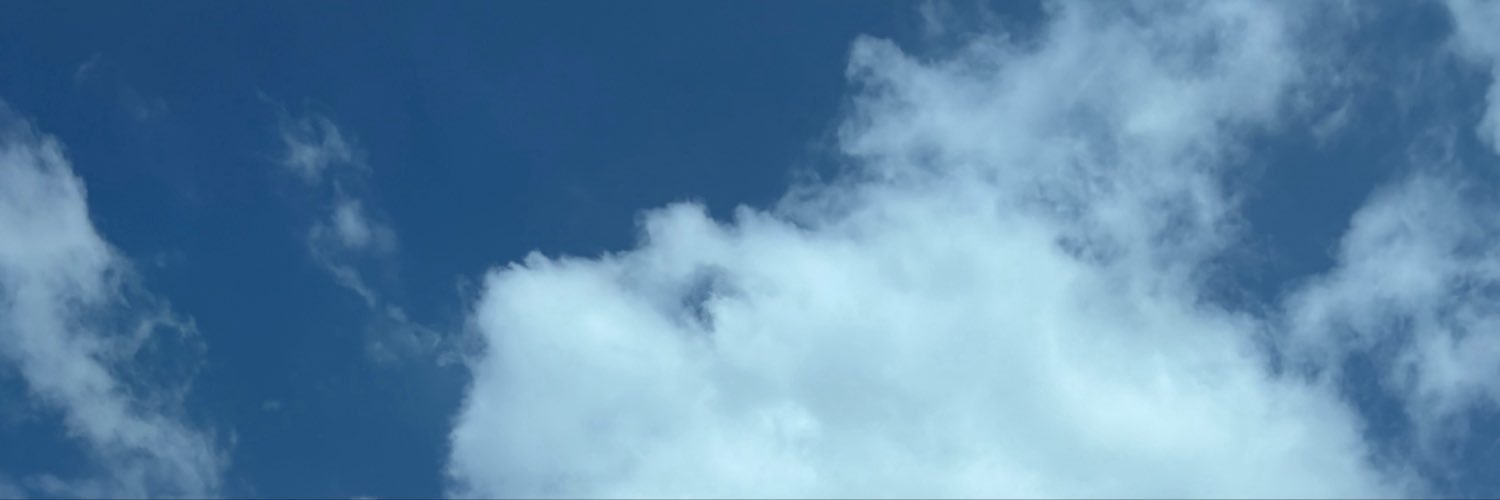 baibua's banner
