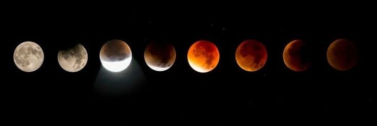 Shravya🥀's banner