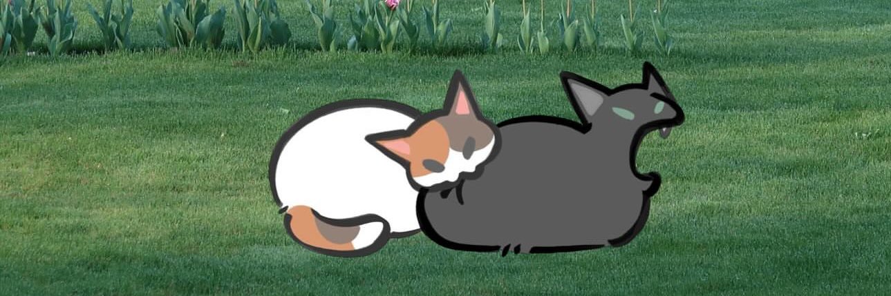 🎀 𝓂𝒾̀𝓃𝒽 𝓁𝒶̀ 𝒷𝑜̂𝓃𝑔 🎀's banner