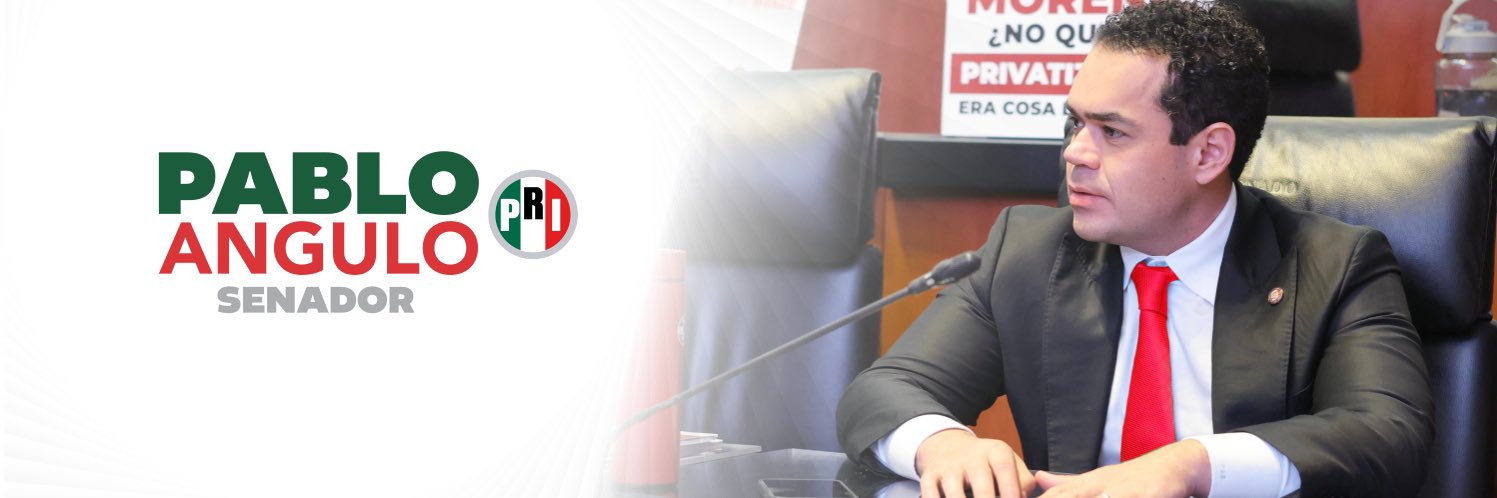 Pablo Angulo Briceño's banner