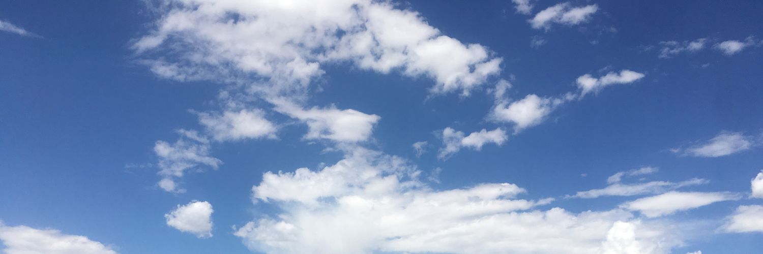 Цолмон's banner