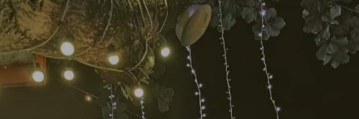 Vermicelli's banner