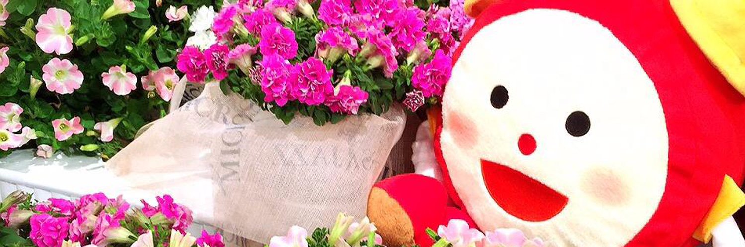 井上清華💛's banner