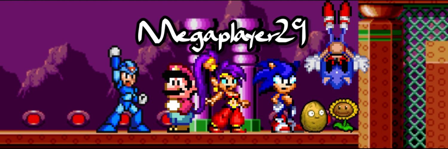 Megaplayer the hedgehog29's banner