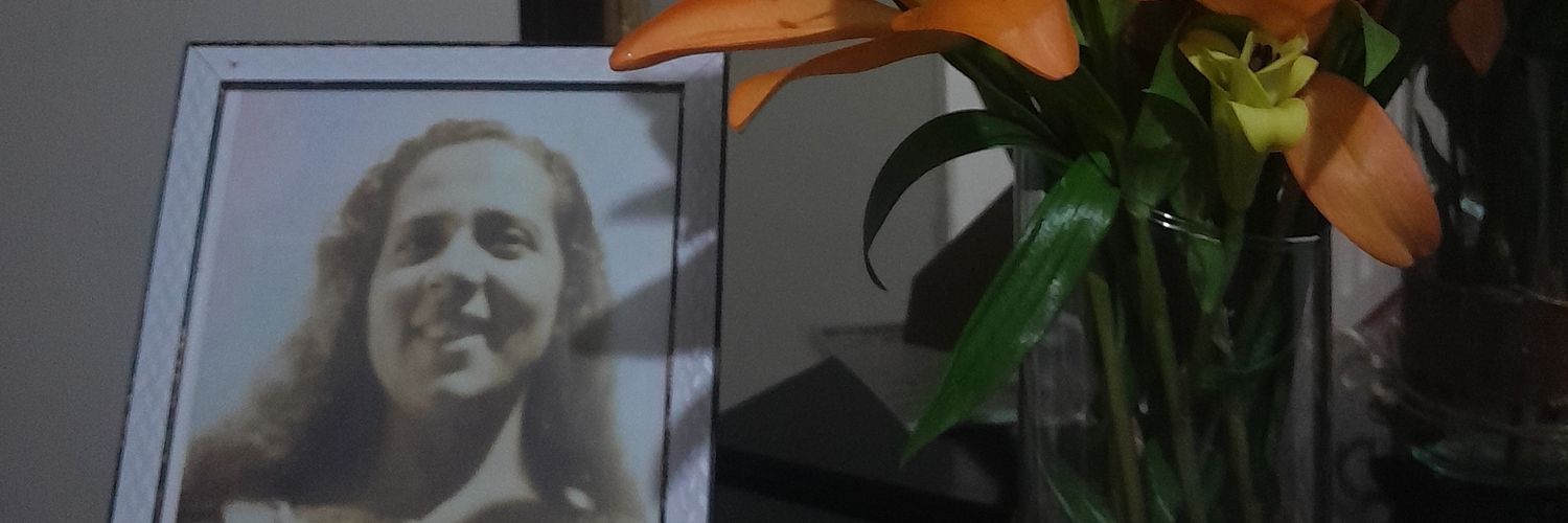 Nanis Marin's banner