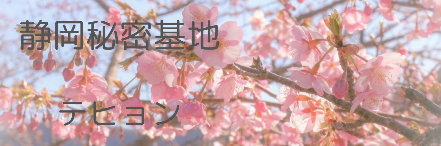 テヒョン@静岡･沼津･浜松･町田秘密基地🐨 デート利用のみご予約受付中's banner