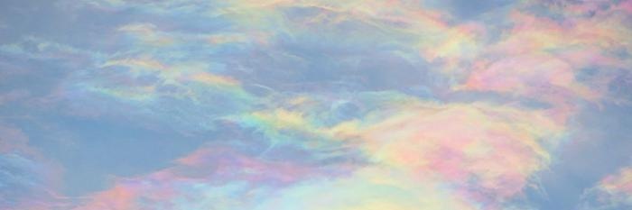 静緒 𝐒𝐡𝐢𝐳𝐮𝐨🦋🐕's banner