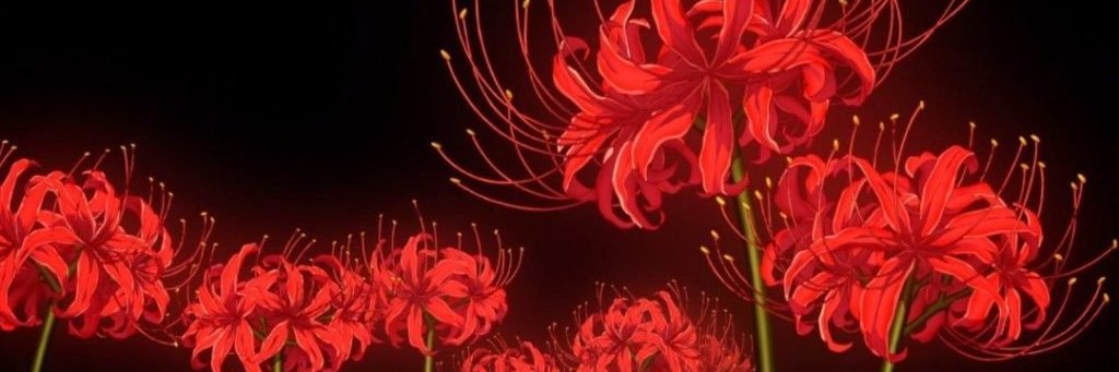 ana⋆'s banner