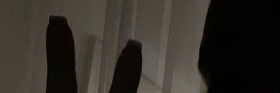 Gabby's banner