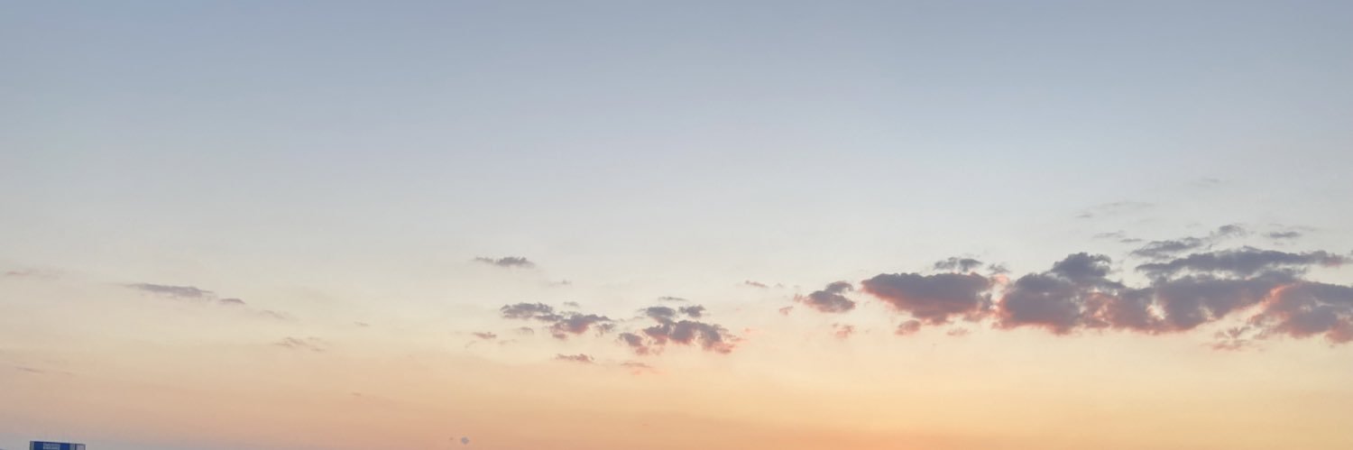 松本 玲奈 Reina Matsumoto's banner
