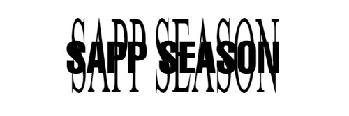 sapp's banner