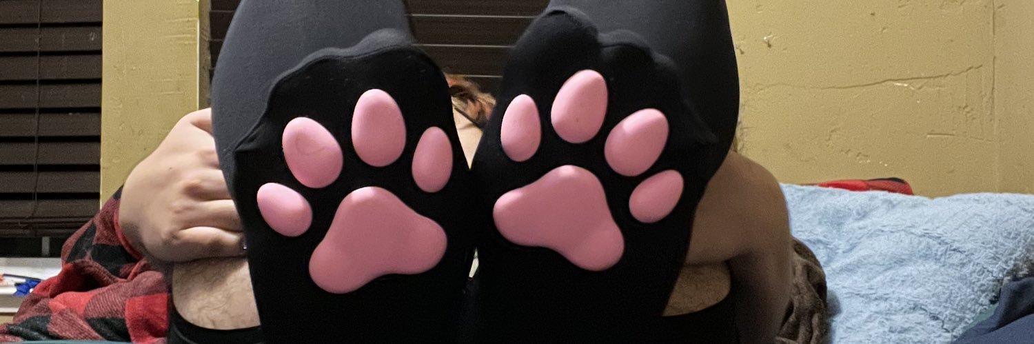 Gay socks's banner
