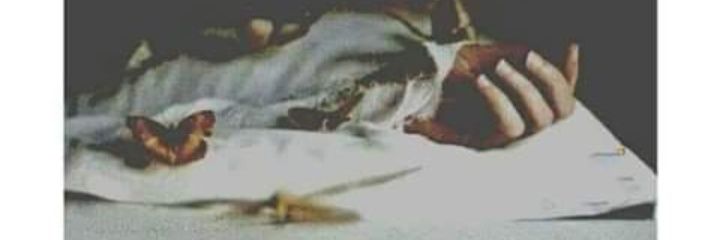 AnOsh Fatima (بگڑی رئیس زادی)'s banner