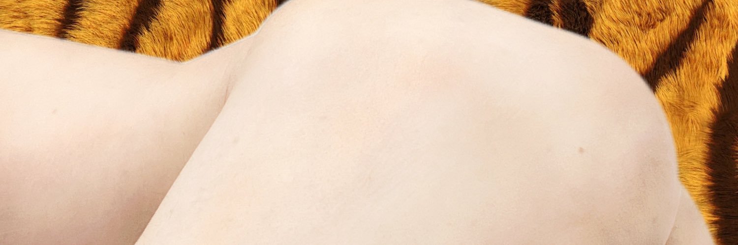 秋茶的学历's banner