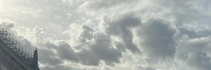 laura's banner