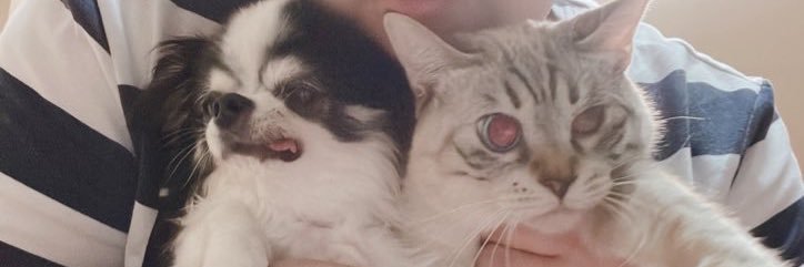 だいすけ(=^x^=)'s banner