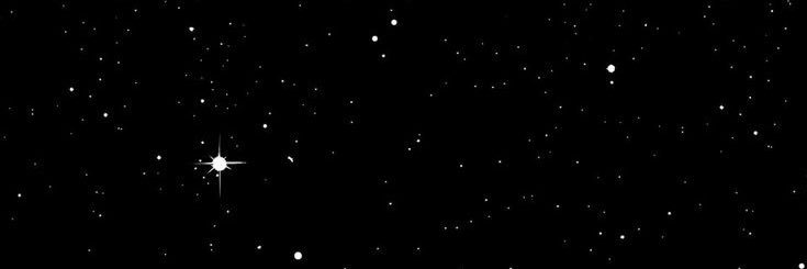 Nany ✨'s banner