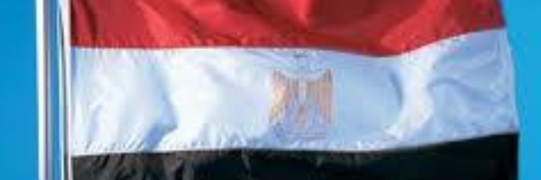 Nawalnaser's banner