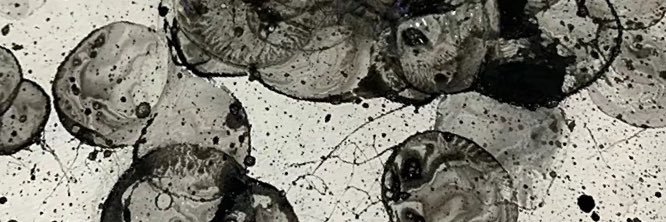 NONAME's banner