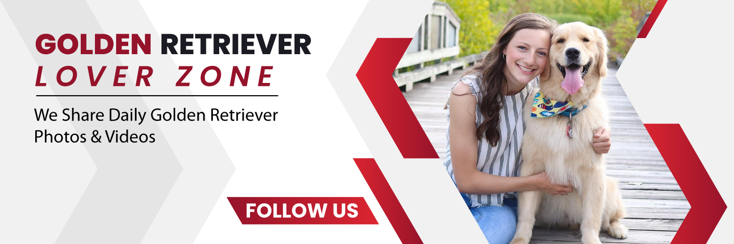 Golden Retriever Lover Zone's banner